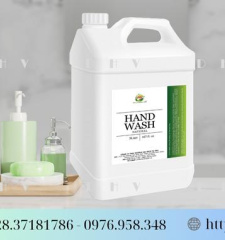 Hand Wash DHV1