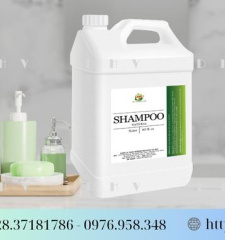 Shampoo DHV1
